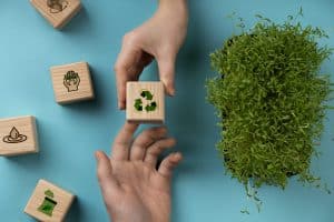 Nahaufnahme von zwei Händen, die einen Holzblock mit dem Recycling-Symbol übergeben. Weitere Holzblöcke mit Umwelt- und Nachhaltigkeitssymbolen wie einem Wassertropfen, einer Pflanze und einer Mülltonne liegen auf einem türkisfarbenen Hintergrund. Auf der rechten Seite ist eine grüne Pflanze sichtbar, die Nachhaltigkeit und Umweltbewusstsein symbolisiert.